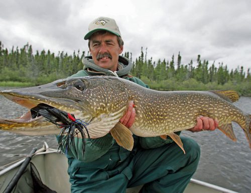 Spring fishing for trophy northern pike!