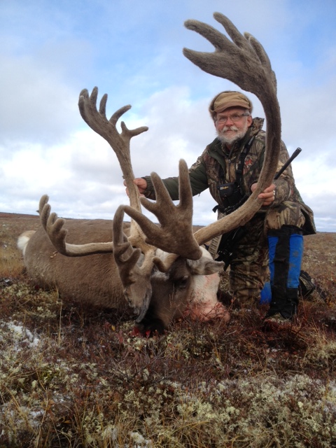 Al Maki with one of his two caribou bulls.
