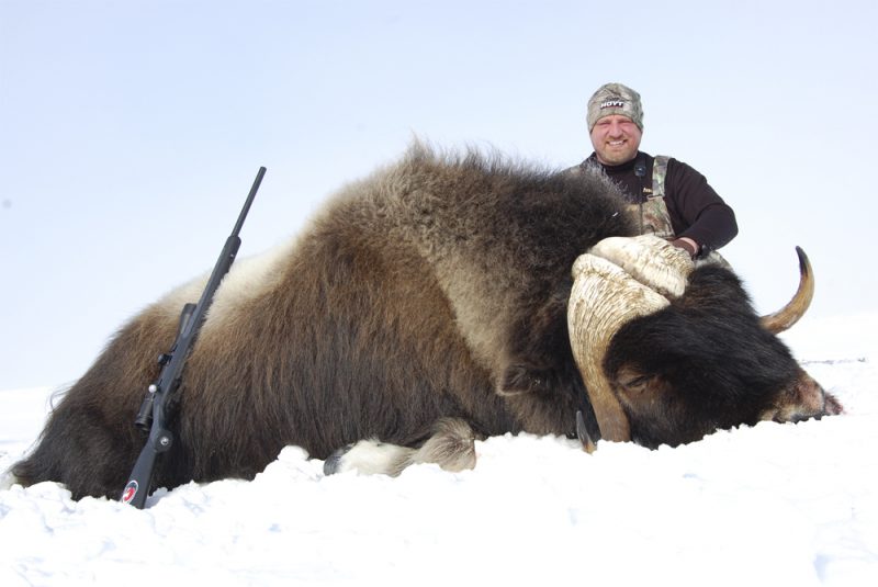 Russ Mehling with spring Musk Ox. Boone and Crockett!