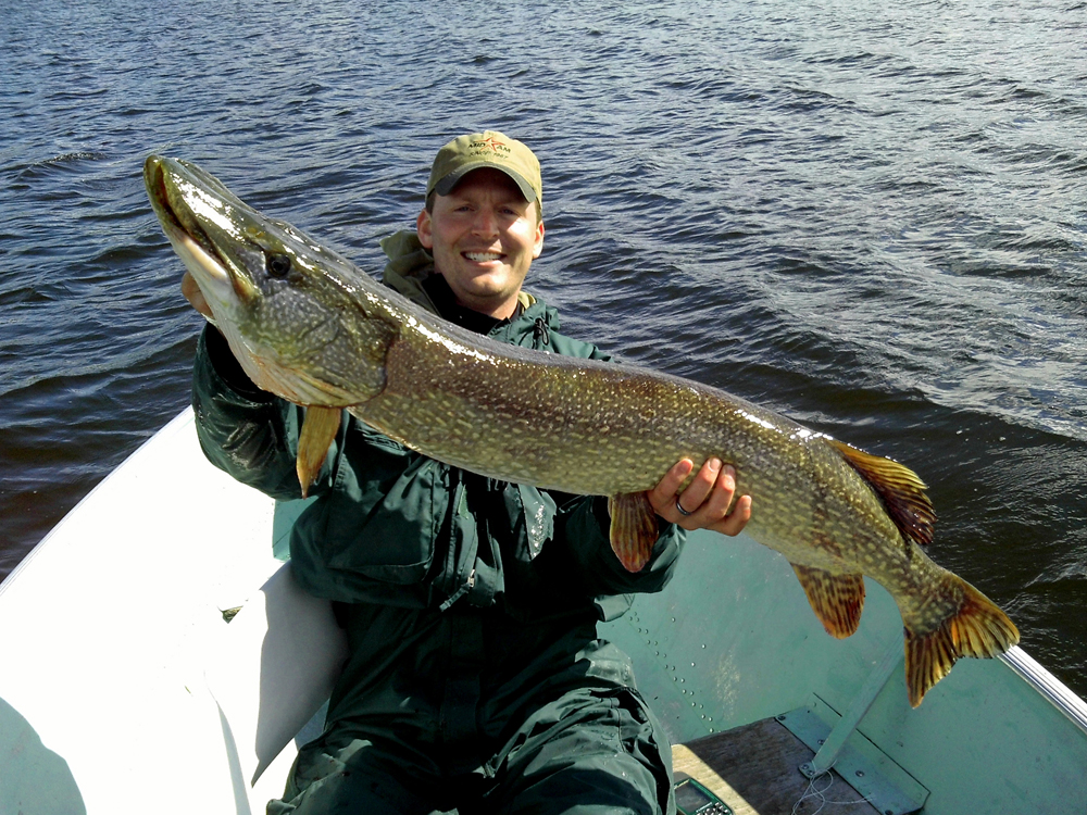 Jeff Knaebel with 47-inch northern pike he caught on a Webber's Lodges fly-out trip to Small Lake. 