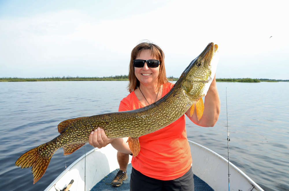 Outdoor writer (and a great cook too!) Shel Zolkewich with a spring pike at North Knife Lake.