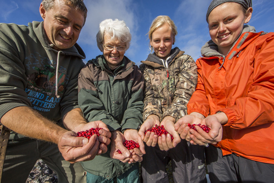 Have a wild cranberry! L to R, Mike Reimer, Helen Webber, Krysten Martens, Karli (Reimer) Friesen.