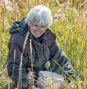 Cookbook author Helen Webber has been picking cranberries with polar bears for 40 years.