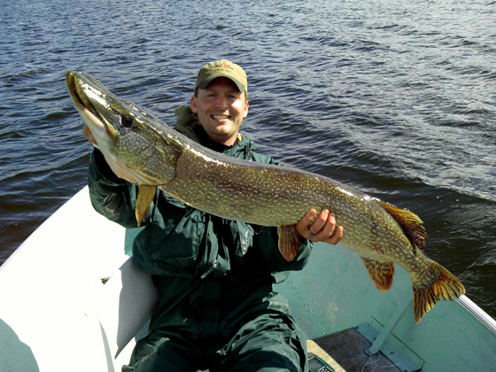 Jeff Knaebel with 47-inch Master Angler Northern Pike! 