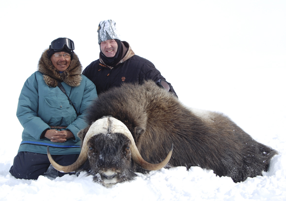 Musk Ox Hunting Canada - Wide Flaring Bull