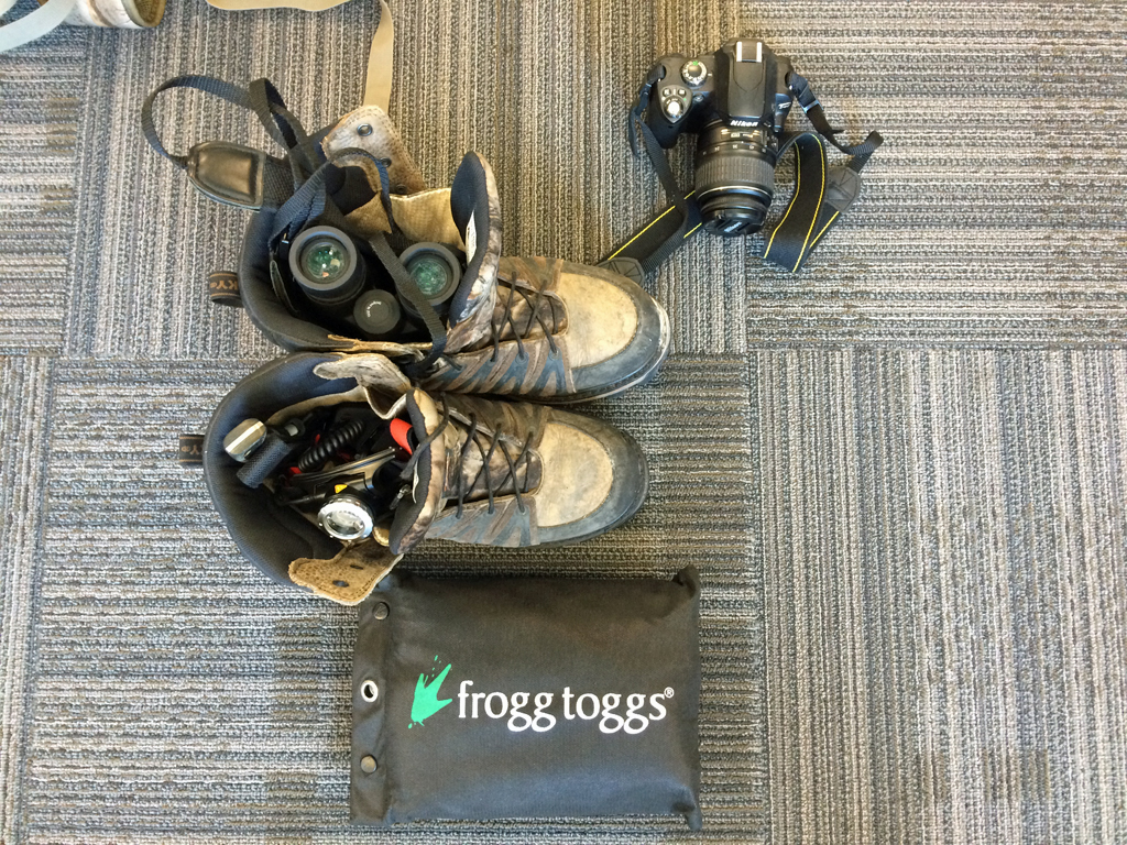frogtoggs