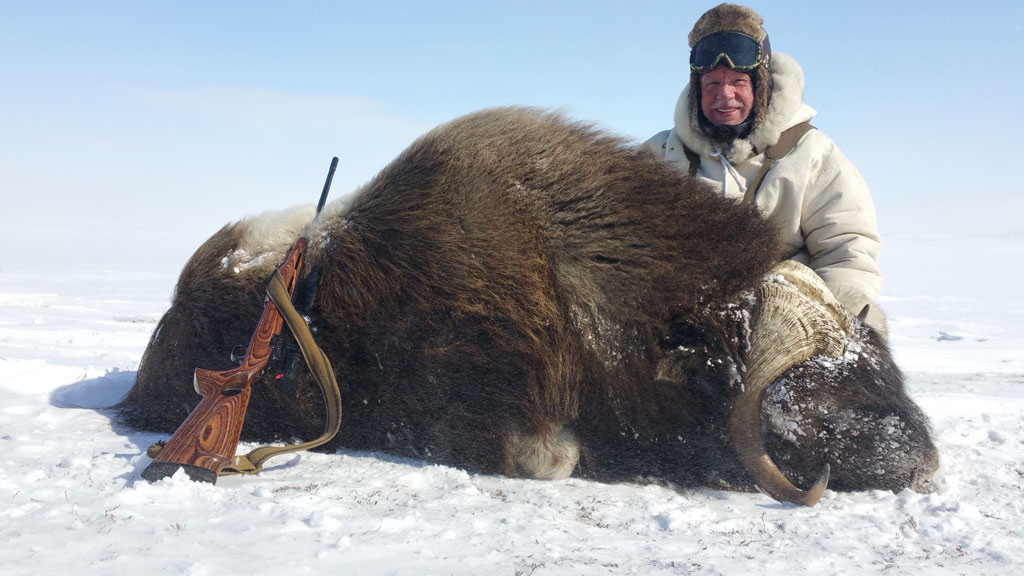 Weston Millward with his Musk Ox.