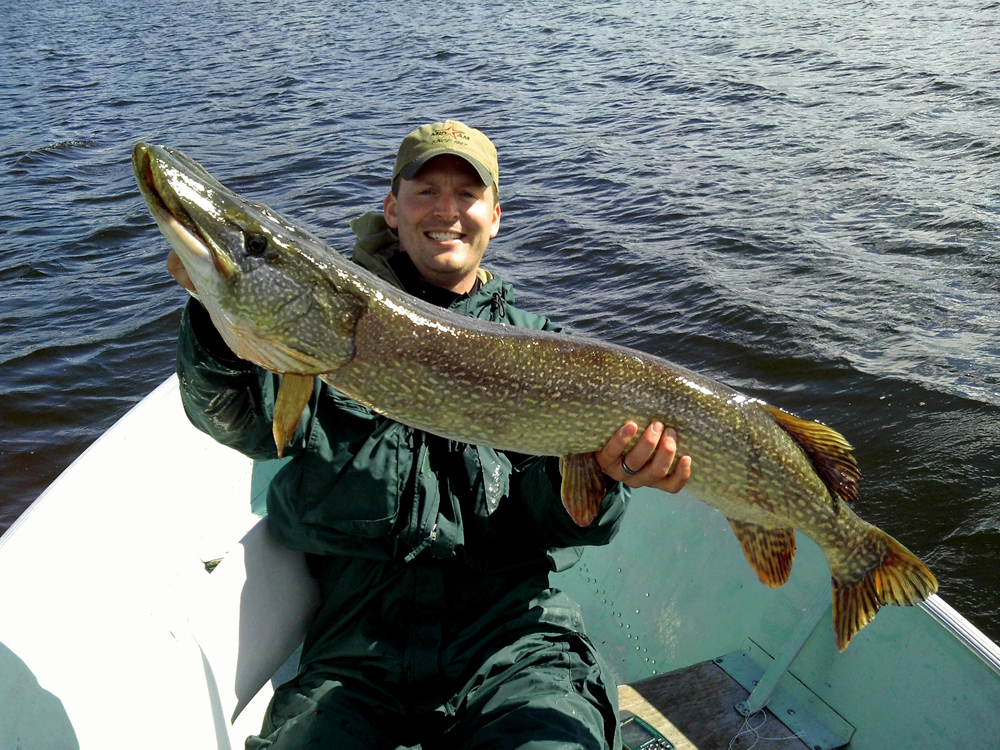 Jeff Knaebel with 47-inch Northern Pike at Webber's Lodges.