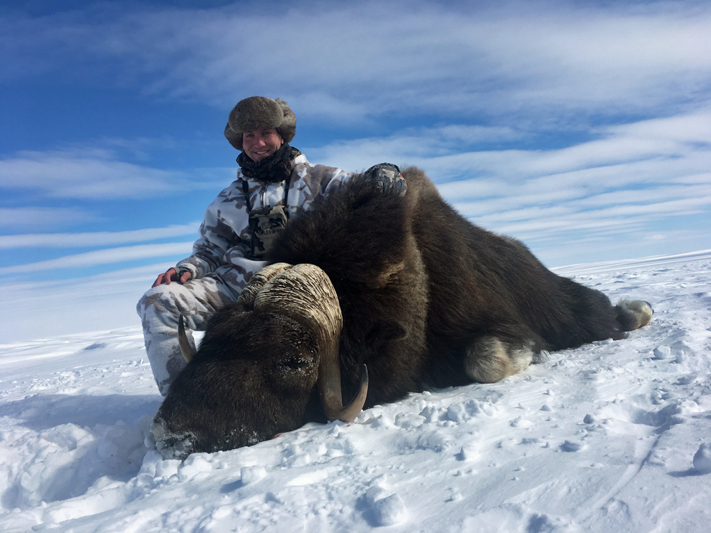 Logan Elliott with our first Musk Ox of 2017. Webber's Lodges. Nunavut.