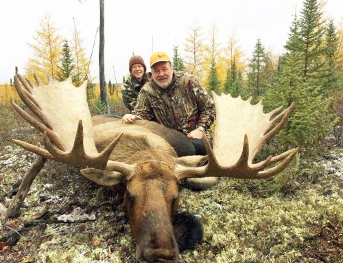 Cold weather. Husband & Wife. Big Manitoba moose.